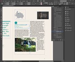book design software